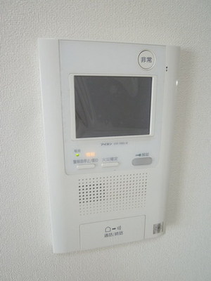 Security. TV monitor phone