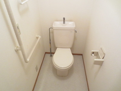 Toilet. Toilet