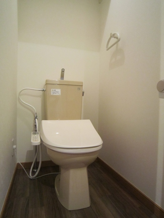 Other. With hot-water heating toilet seat