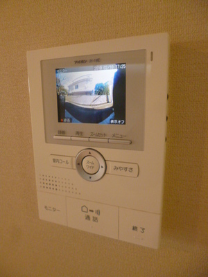 Security. Recording function with a monitor Hong