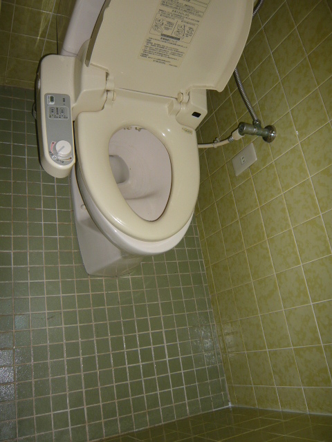 Toilet