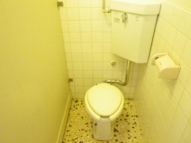 Toilet. Western-style toilet