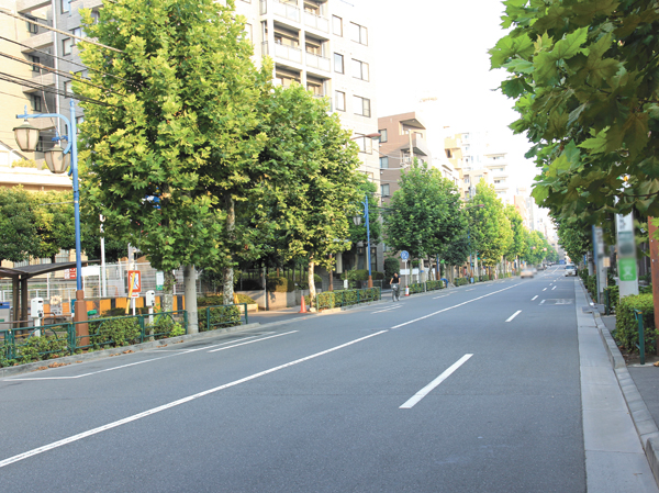 Surrounding environment. Sycamore street (about 170m ・ A 3-minute walk)