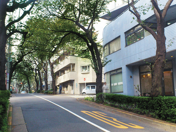Surrounding environment. Minamiotsuka Sanchome cherry trees Street (about 440m ・ 6-minute walk)