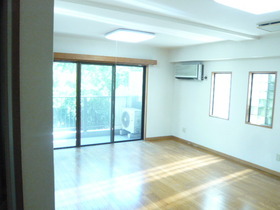 Living and room. Hiroi room