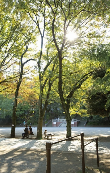 "Otsuka park" (about 390m ・ There is a small library, which is the hotel's in the meetinghouse of 5 minutes) in the park walk.