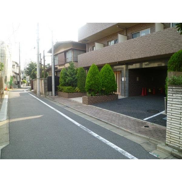 Other introspection. Frontal road