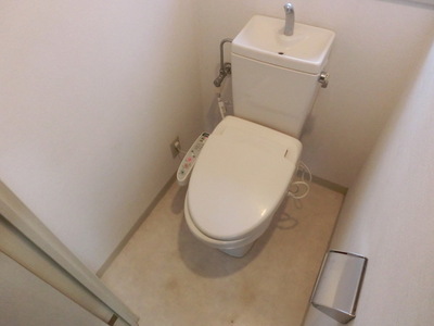 Toilet. Washlet toilet