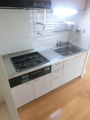 Kitchen. System kitchen