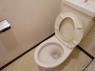 Toilet. It is a common type! 