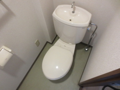 Toilet. Toilet