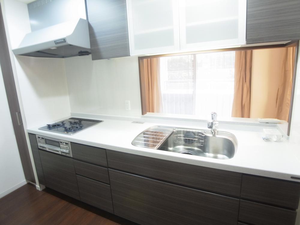 Kitchen. Indoor (10 May 2013) Shooting (Glass top stove, water filter, disposer)