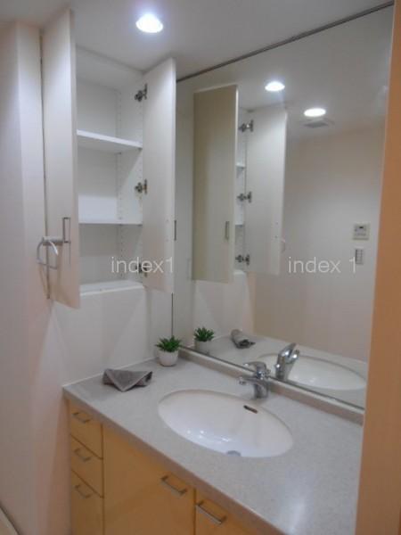 Wash basin, toilet. Spacious vanity