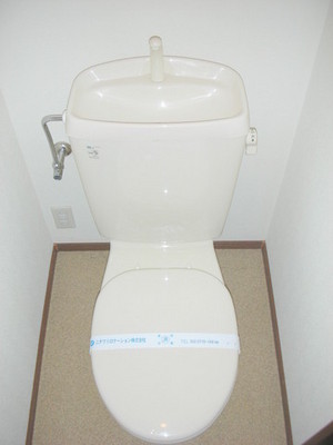 Toilet. Toilet