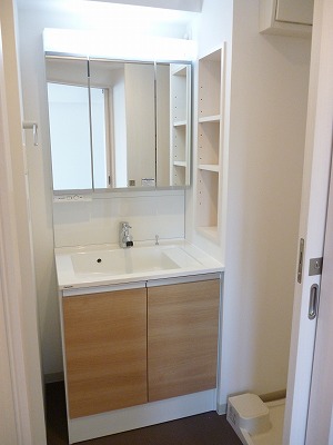 Washroom. Shampoo dresser