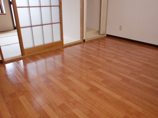 Living and room. Laundry Area is room!