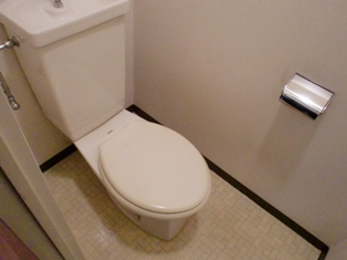 Toilet. It is a common toilet.