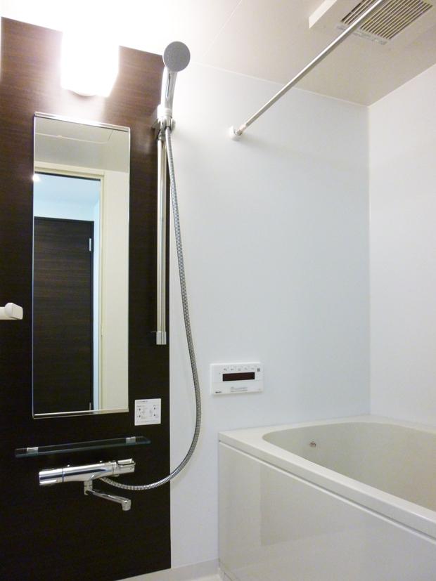 Bathroom. Indoor (10 May 2013) Shooting