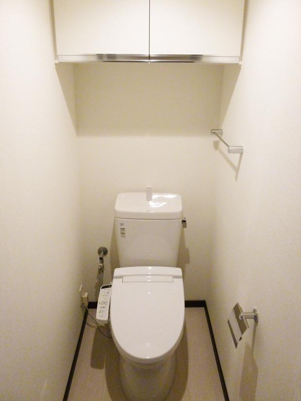 Toilet. Indoor (10 May 2013) Shooting