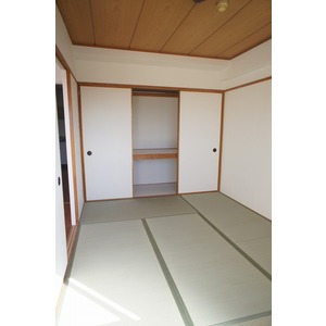 Living and room. Western and Japanese-style