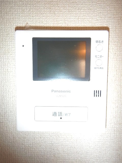 Security. TV monitor interphone