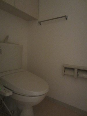 Toilet. Convenient shelf is attached to the toilet! 