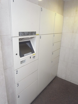 Other common areas. Home delivery locker