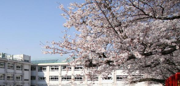 Primary school. 849m to Toshima Ward Sakura Elementary School