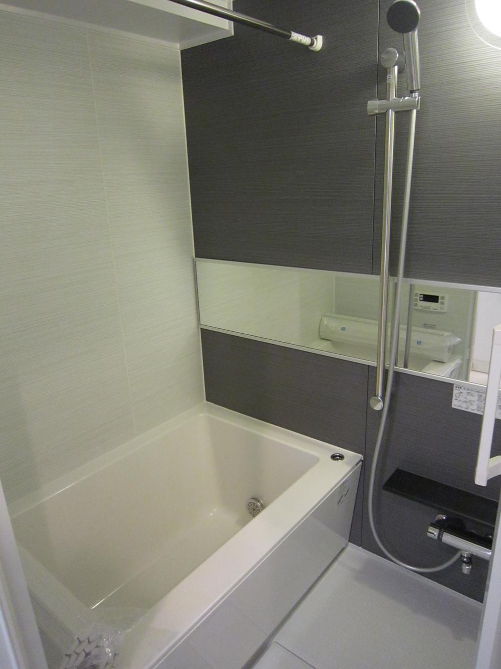 Bathroom. Indoor (2013 November) shooting