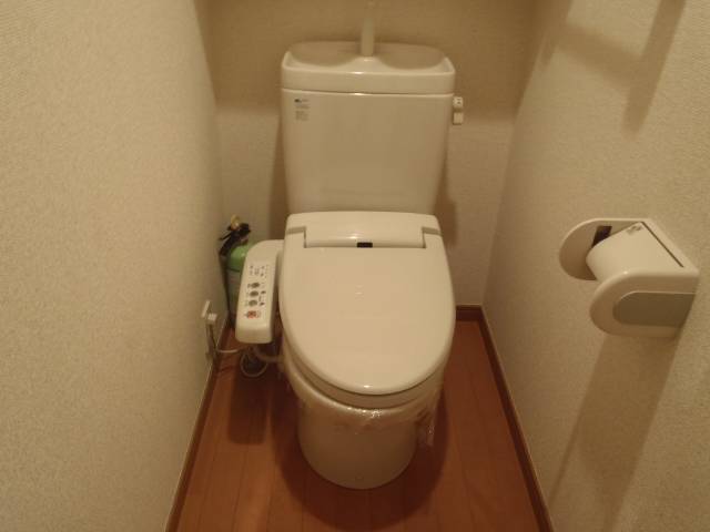 Toilet. Shower toilet