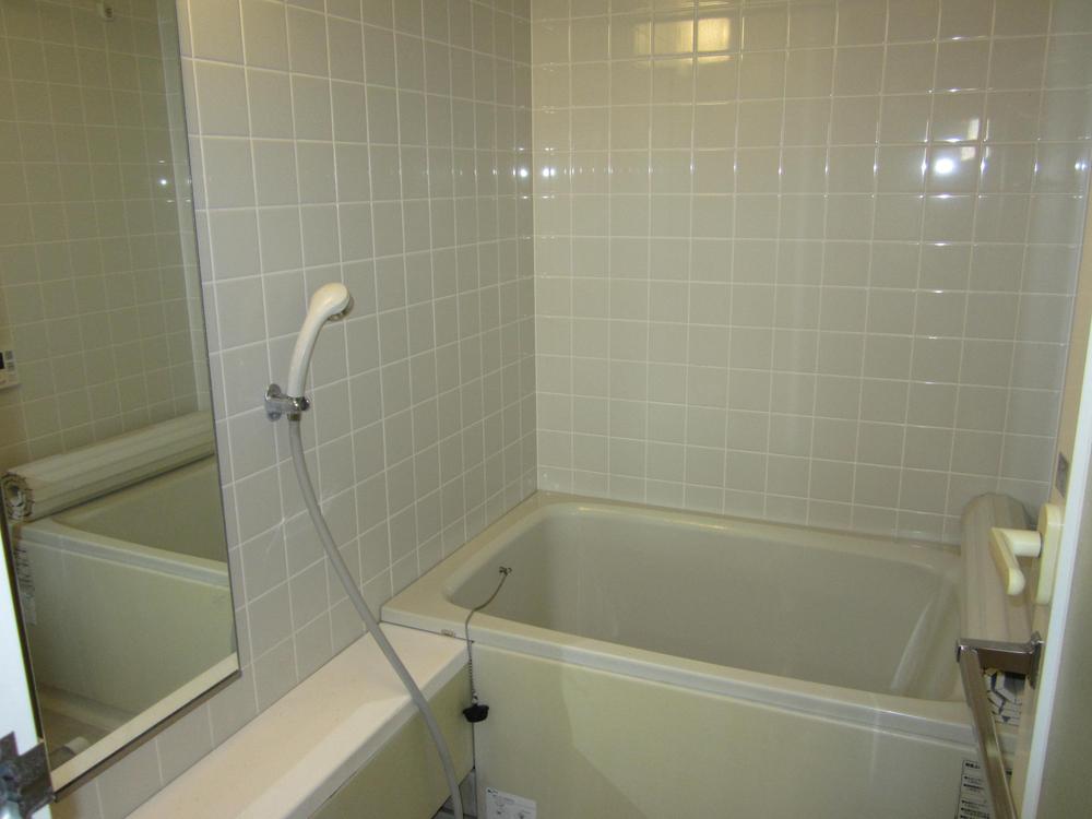 Bathroom. Indoor (11 May 2013) Shooting