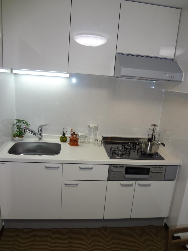 Kitchen. Indoor (11 May 2013) Shooting