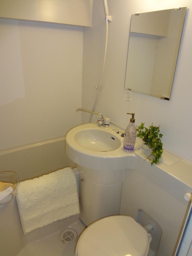 Bathroom. Indoor (11 May 2013) Shooting