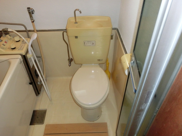 Toilet