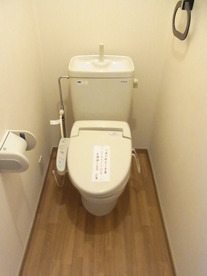 Toilet. Bidet with toilet