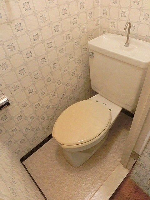 Toilet. Toilet