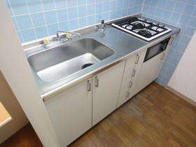 Kitchen. System kitchen gas 2-neck