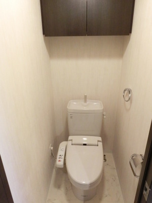 Toilet. Storage rack toilet