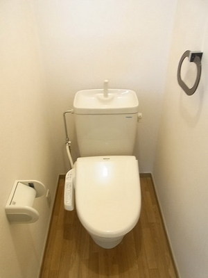 Toilet. Toilet