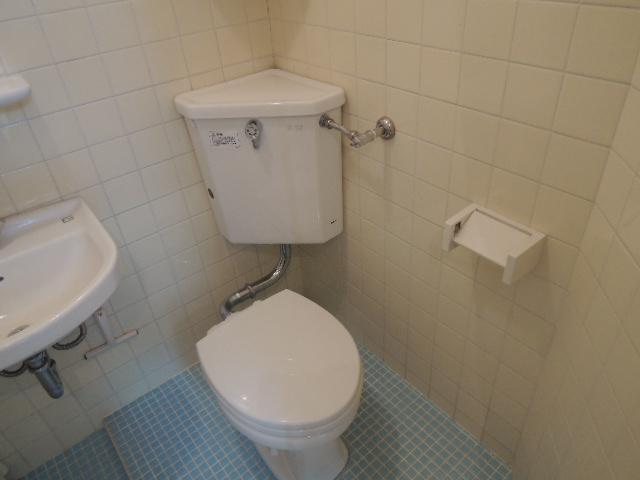 Toilet. Bathroom with a shower