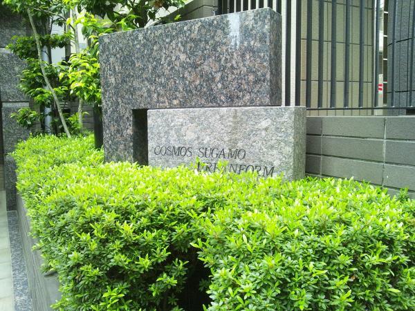 Local appearance photo