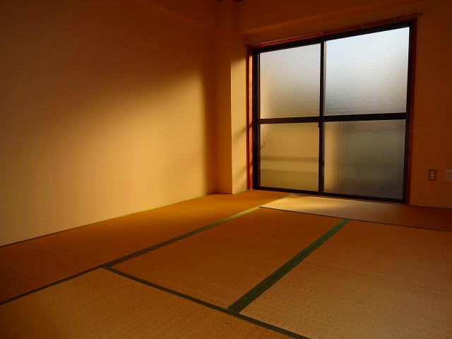 Living and room. Japanese style room