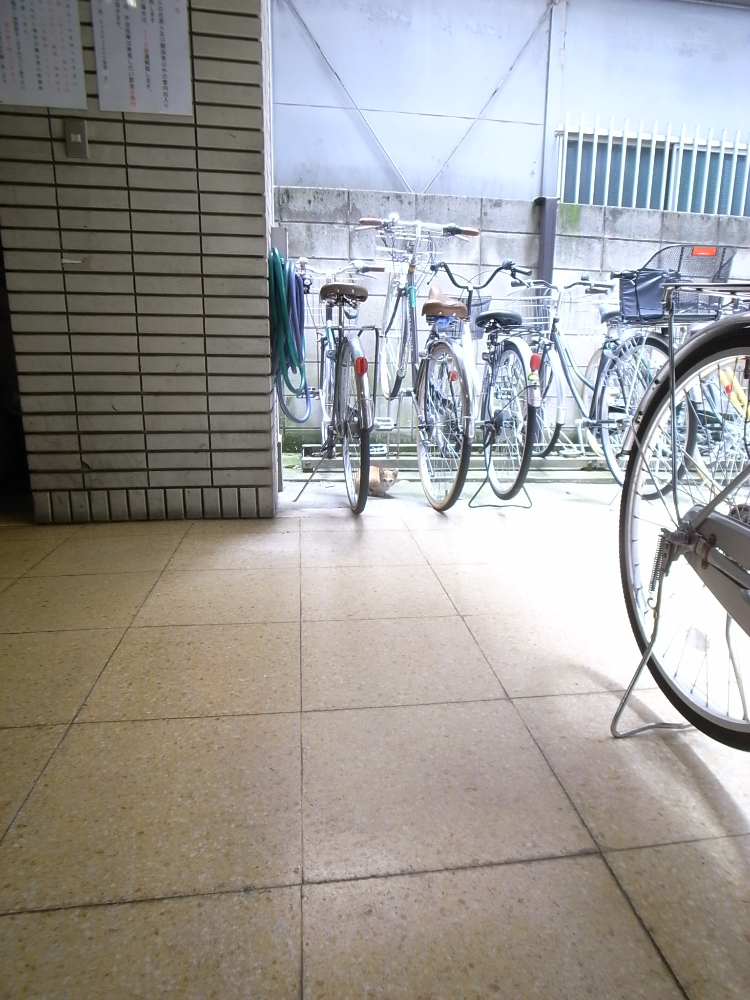 Other common areas. Bicycle-parking space