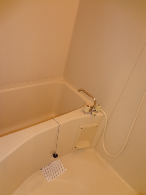 Bath.  ※ It is a photograph of the other room. 