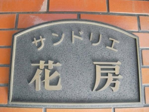 Local appearance photo. Sandorie Hanabusa