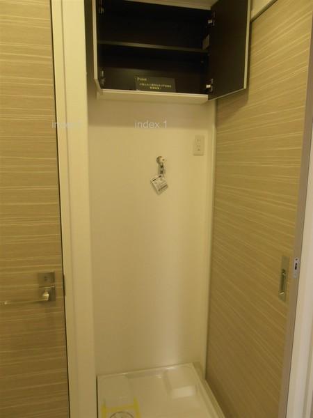 Wash basin, toilet. There is also indoor washing machine Storage!