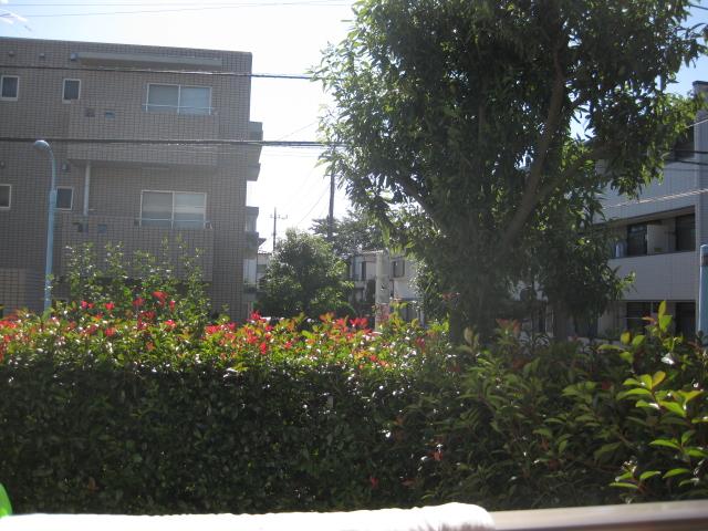 Suginami-ku, Tokyo Kamiigusa 2