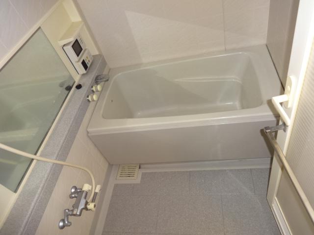 Bathroom. TV with a bathroom