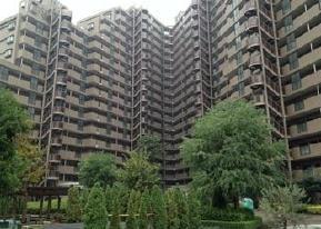 Local appearance photo. Local (2013) Shooting