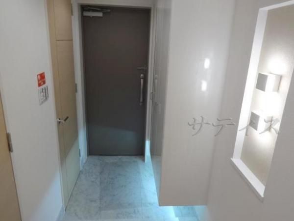 Entrance. Storage capacity of the room in the shoe-in cloakroom